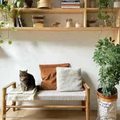 Made in Meubles Banc en bois de teck et tissu Pénélope