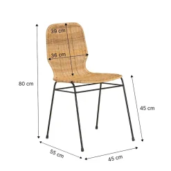 Made in Meubles Chaise en métal et rotin Minal (lot de 2)