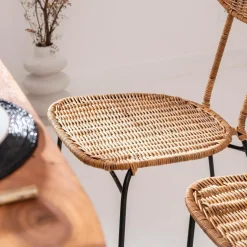 Made in Meubles Chaise en rotin et en métal Leila (lot de 2)