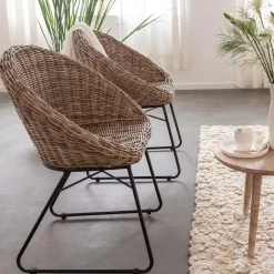 Made in Meubles Chaise en rotin et métal Amael (lot de 2)