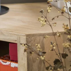 Made in Meubles Meuble TV en bois de manguier Lyam