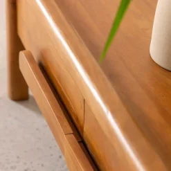 Made in Meubles Meuble TV en bois de manguier Féodor