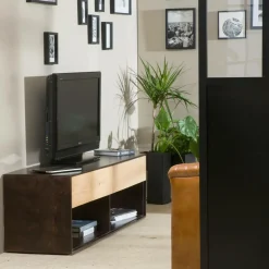 Made in Meubles Meuble TV en bois de manguier Harry