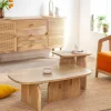 Made in Meubles Set de 2 tables basses en bois de manguier Tom