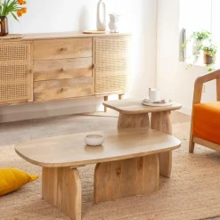 Made in Meubles Set de 2 tables basses en bois de manguier Tom