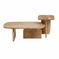 Made in Meubles Set de 2 tables basses en bois de manguier Tom