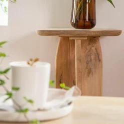 Made in Meubles Set de 2 tables basses en bois de manguier Tom