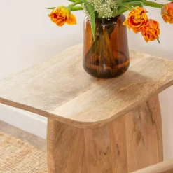 Made in Meubles Set de 2 tables basses en bois de manguier Tom