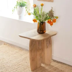 Made in Meubles Set de 2 tables basses en bois de manguier Tom