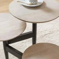 Made in Meubles Table basse en bois de manguier Dounia