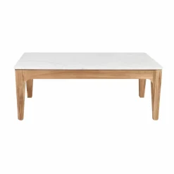 Made in Meubles Table basse en bois de manguier et marbre Arthuro