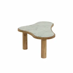 Made in Meubles Table basse en bois de manguier et marbre Adler