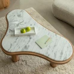 Made in Meubles Table basse en bois de manguier et marbre Adler