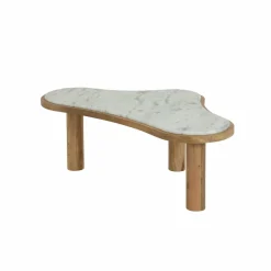 Made in Meubles Table basse en bois de manguier et marbre Adler