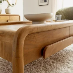 Made in Meubles Table basse en bois de manguier Féodor